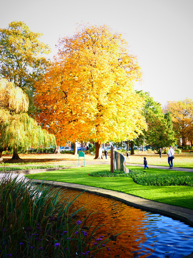Queen's Park, Loughborough by carole_sandford