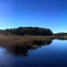 Salt marsh and former rice fields, Charleston, SC by congaree