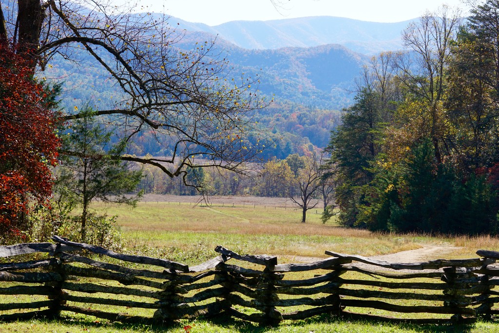Cade's Cove by amyk