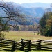Cade's Cove by amyk