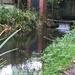 Mini weir on the canal by cataylor41