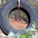 Tire Swing View by homeschoolmom