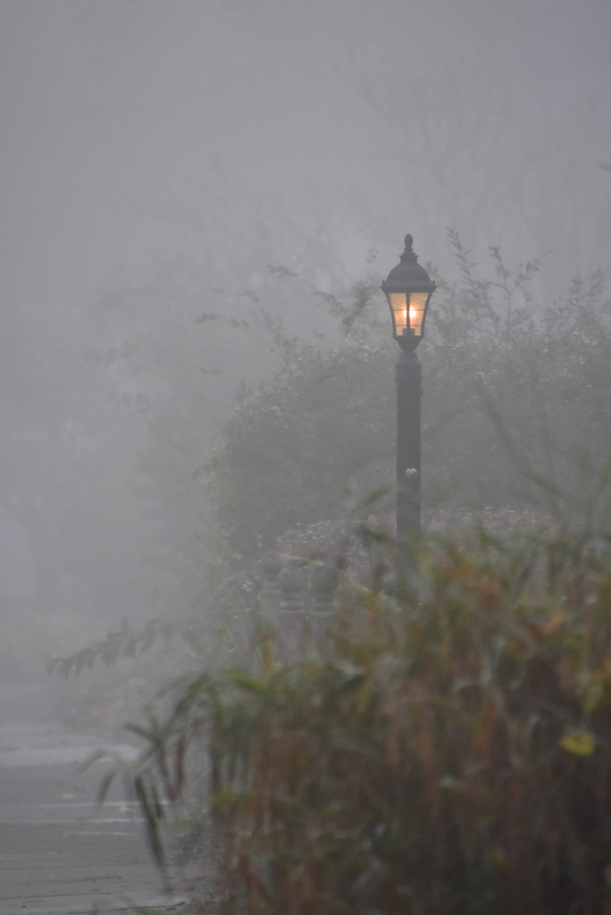 Misty morning by vera365