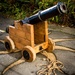Cannon (Not a Nikon) by swillinbillyflynn