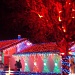Christmas Extreme Lights by jnadonza