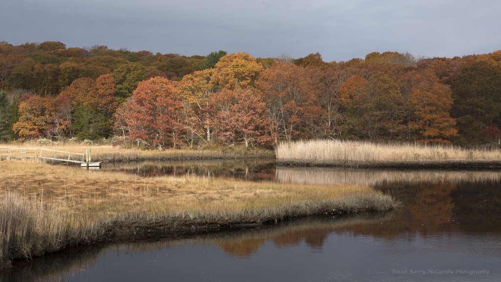 Autumn on the marsh by mccarth1