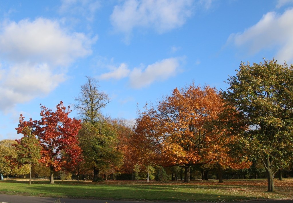 Autumn in Hyde Park by oldjosh