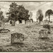 2016 11 07- The old cemetery by pamknowler