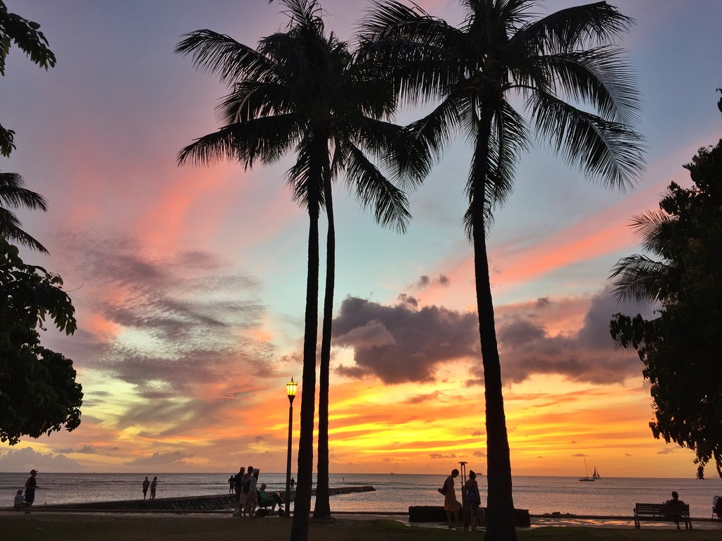 Waikiki Sunset by teodw