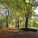Cambridge UK, Botanical Gardens by g3xbm