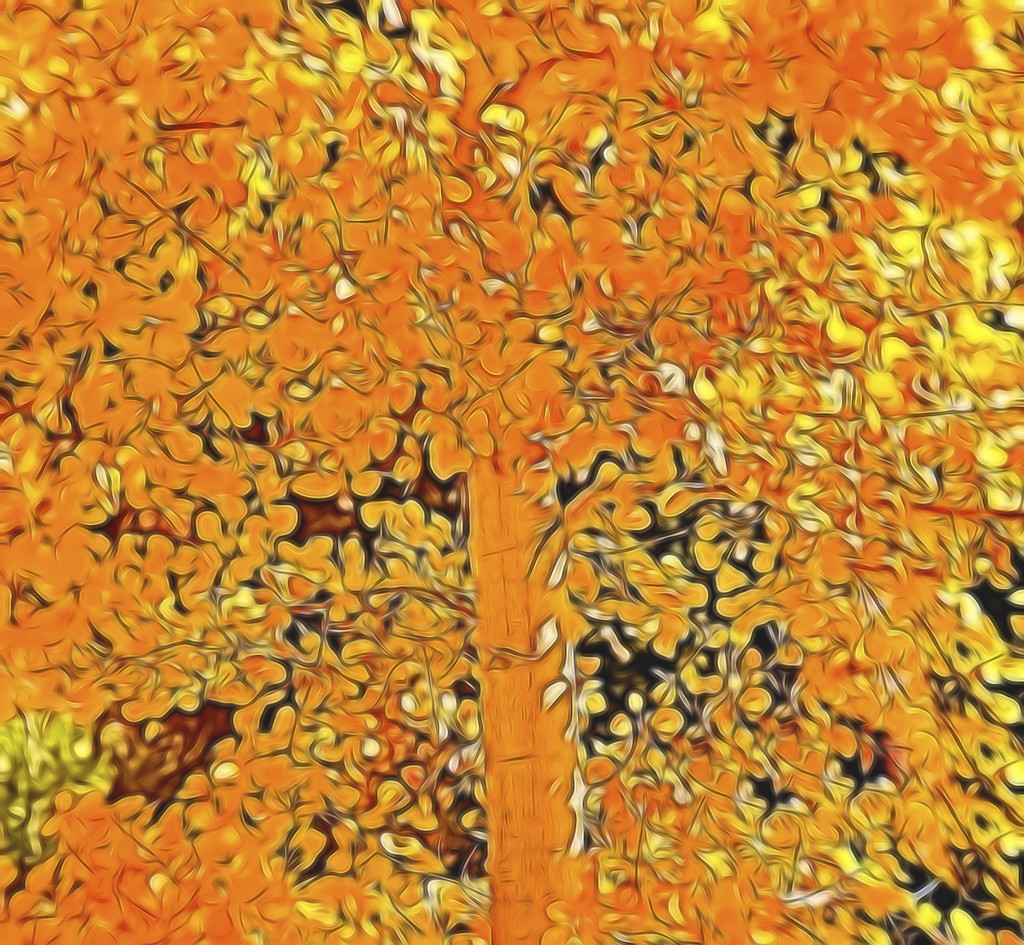 Golden leaves  by joysfocus