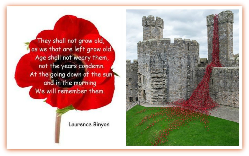 We shall remember them  by beryl