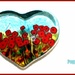 Poppies today are in our mind and heart by bruni