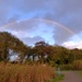 Evening rainbow by julienne1