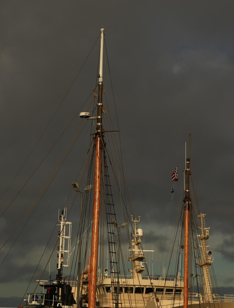 Masts by lifeat60degrees
