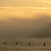 Pilings In Foggy Dawn by jgpittenger