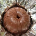 Terry's Chocolate Orange by cookingkaren