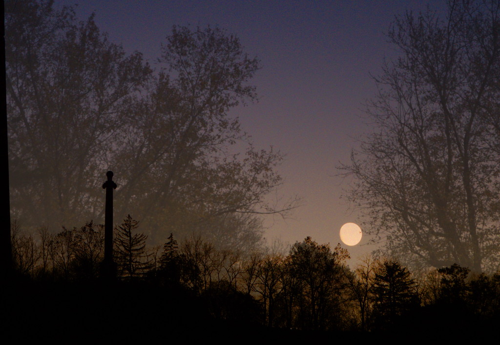 Moon rising in the western sky by francoise