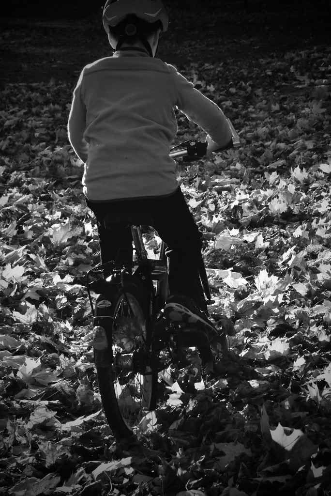 Biking  by vera365