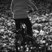 Biking  by vera365