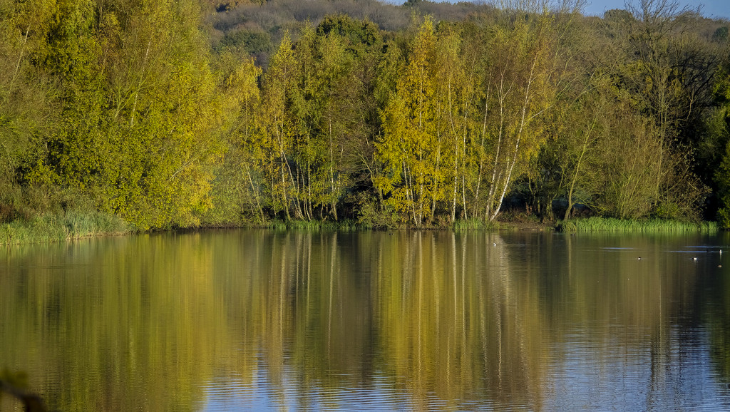 Fishing Pond by tonygig