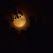 Moon Rise by ianmetcalfe