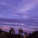 (Day 273) - Purple Sky! by cjphoto