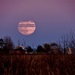 moon by lynnz