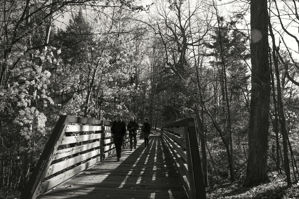 afternoon shadows by summerfield