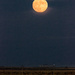 almost super moon by aecasey