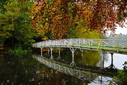14th Nov 2016 - Bridge Over Still Water