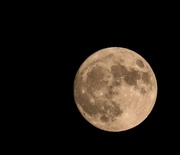 14th Nov 2016 - Super Moon 🌙 last night!