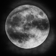 14th Nov 2016 - Over the (super) moon