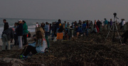 14th Nov 2016 - Supermoon Crowd!