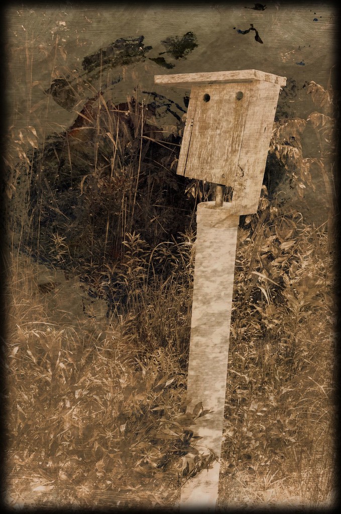 Rustic Birdhouse by olivetreeann