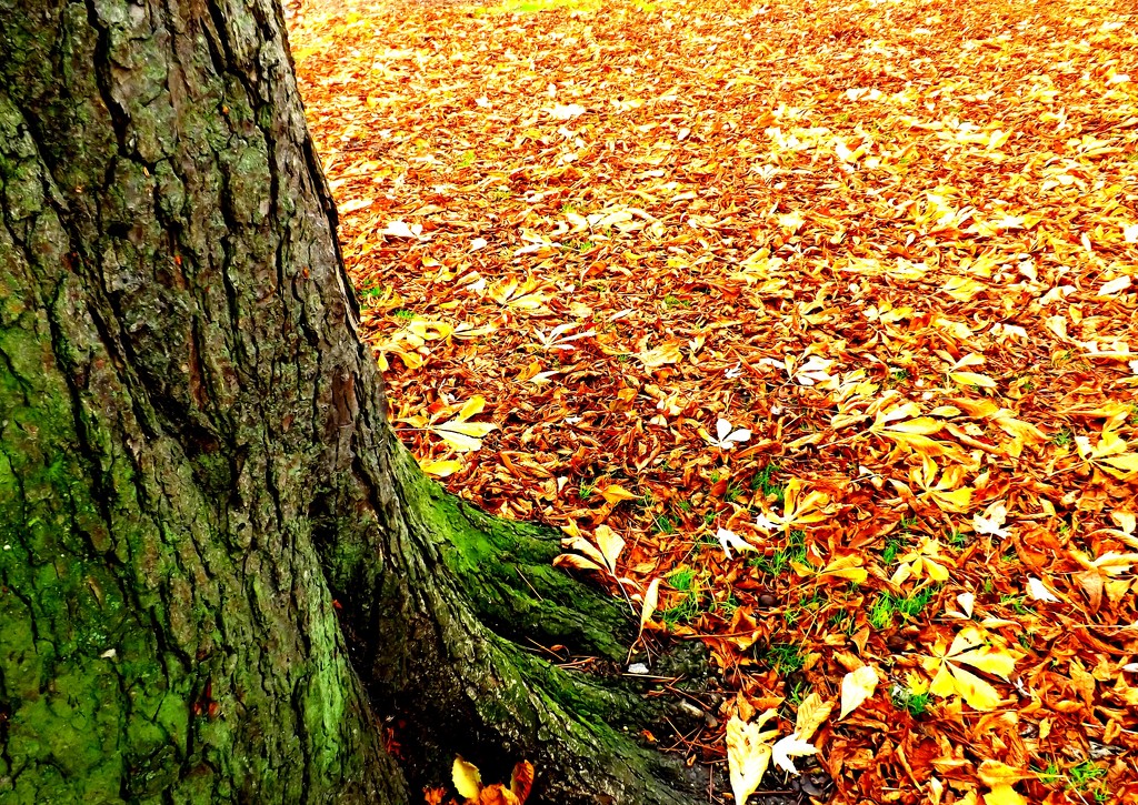 Truncated Autumn Carpet by ajisaac