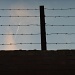 Fence by berend