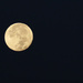 Super Moon by ingrid01