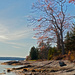 Maine coast in November by dianen
