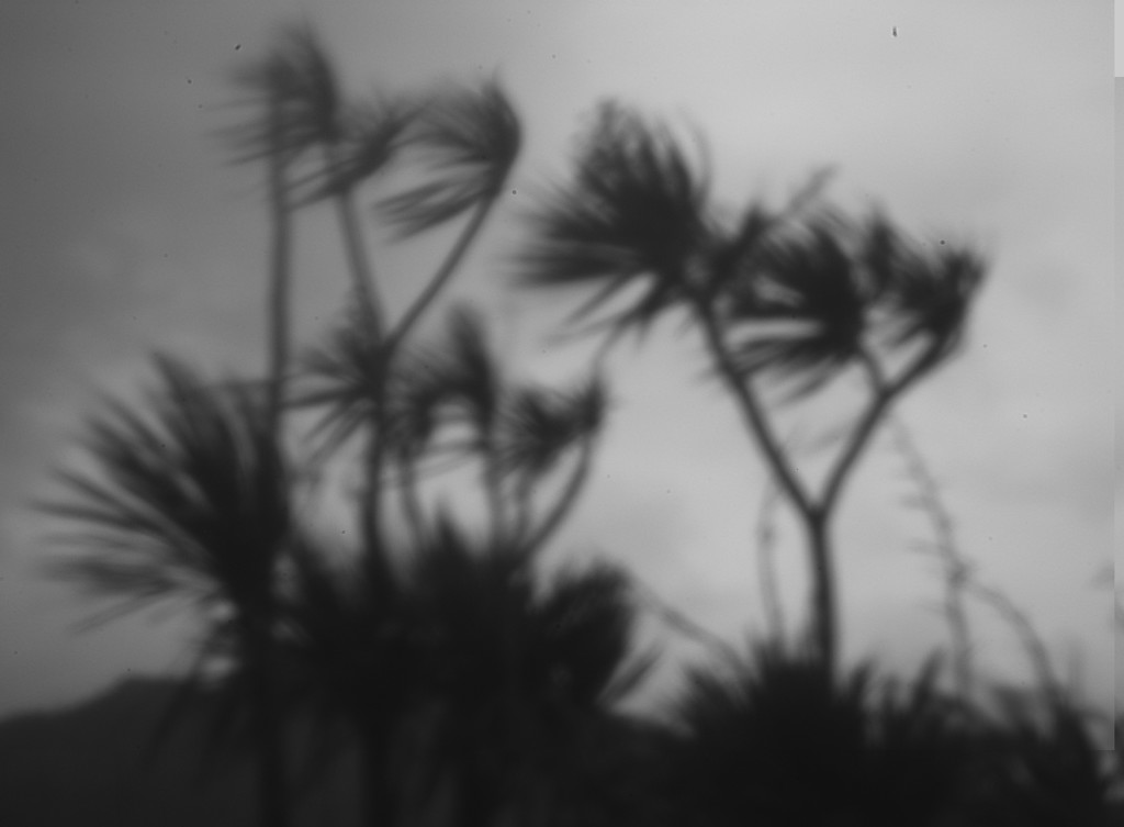  wind through the pinhole  by kali66
