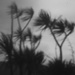  wind through the pinhole  by kali66