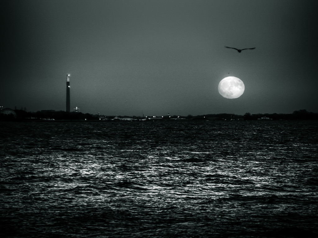 moonrise by northy