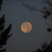 Super Moon Setting by selkie