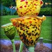 Glass Flowers by yorkshirekiwi