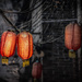 Red Lanterns by taffy