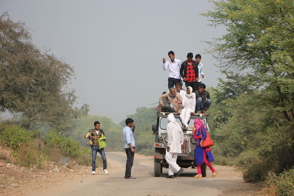 Transport in Rural Rajasthan by jamibann