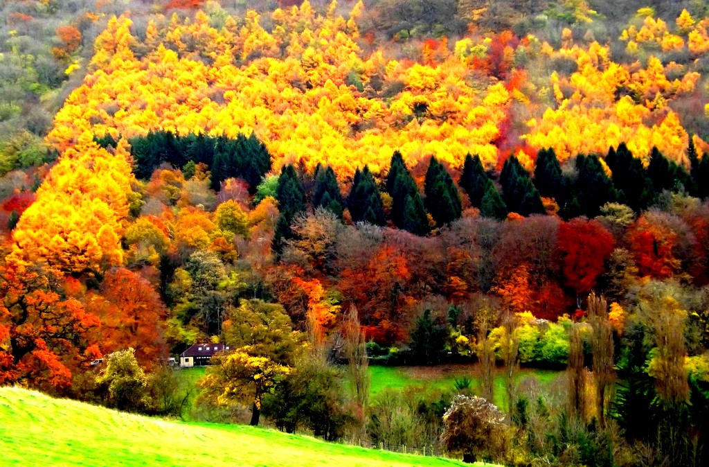 How Autumnal is my valley.. by ajisaac