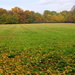 Autumn field by boxplayer