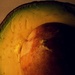Day 77:  Avocado by sheilalorson