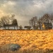 Weikert Farm on Gettysburg Battlefield  by khawbecker